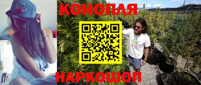гидропоника Будённовск