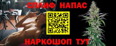 гидропоника Будённовск