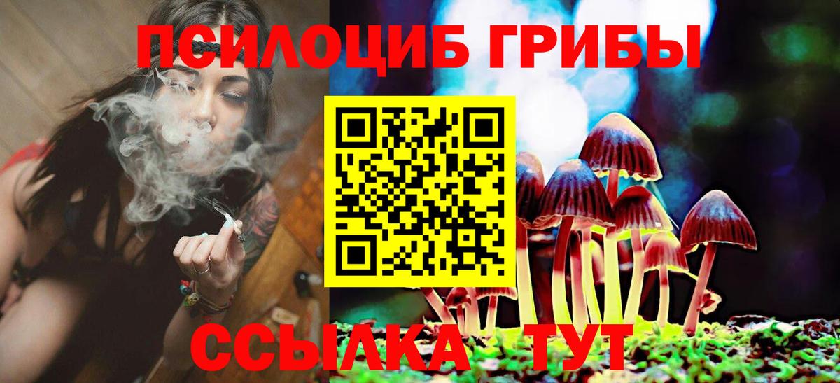 Галлюциногенные грибы прущие грибы  закладки  Тулун  Вход с VPN 